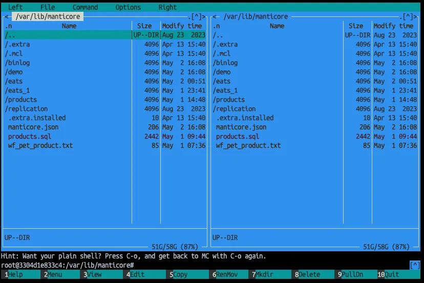 Terminal with mc file manager