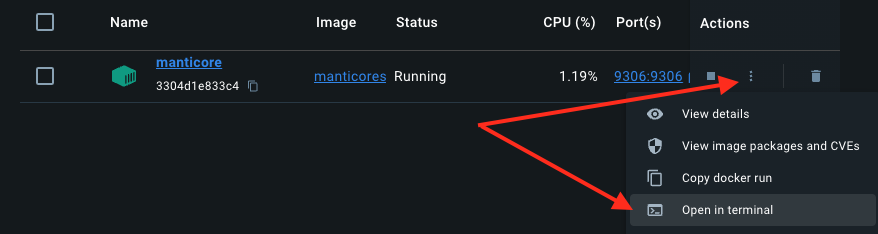 Docker Desktop中终端连接按钮的视图